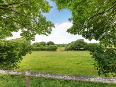 A grassy field with trees and a wooden fence at Tryfan Cottage in Rhostryfan near Caernarfon