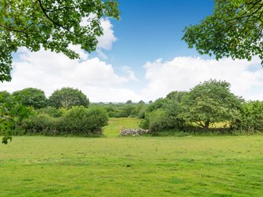 A green field with trees and bushes under a blue sky framed by tree branches at Tryfan Cottage in Rhostryfan near Caernarfon
