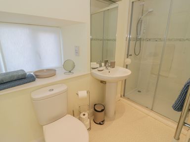 A bathroom with a toilet, sink, and glass-enclosed shower at Bumble Cottage in Tysoe