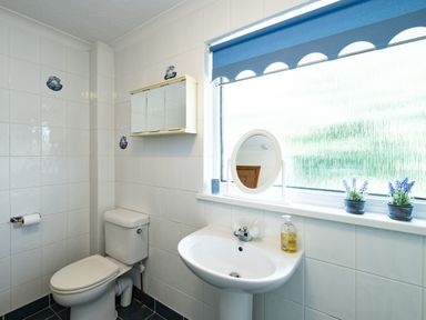 A bathroom with a toilet, sink, wall cabinet, small mirror on the window sill and two small plants at Longhouse Bungalow in Rock