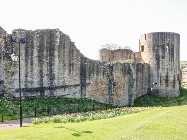 An outdoor scene showing old stone castle walls with a cylindrical tower and surrounding grass with flowers