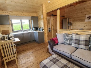 A kitchen and living area with grey cabinets a dining table and a sofa with plaid pillows at Foxes Den Winston near Staindrop