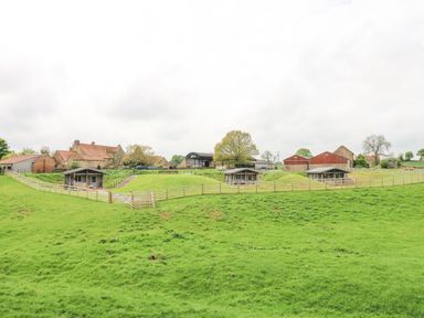 A green field with three small wooden cabins and fenced areas with farm buildings in the background at Foxes Den in Winston near Staindrop