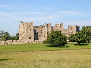 A castle with multiple towers surrounded by grass and trees at Otters Holt in Winston near Staindrop