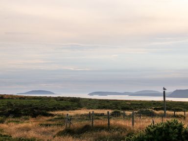 A coastal landscape with grassy fields and a seagull perched on a post at Sunstone Lodge Garreg Haul Lodge in Cilan near Abersoch