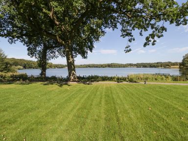 A view of a grassy lawn with two large trees near a lake with trees in the background at Tarn End Cottages 5 Talkin near Brampton Cumbria