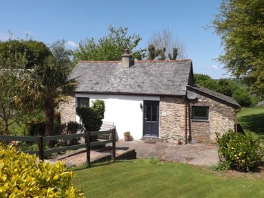 A small stone cottage with a gray door and chimney surrounded by trees and lawn at Beech Cottage in Combe Martin
