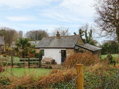 A small stone and white cottage surrounded by a garden with a wooden bench and trees at Beech Cottage in Combe Martin
