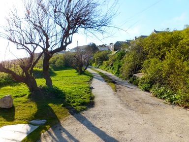 A dirt path with leafless trees on one side and green bushes on the other in a rural area at Porth Farm Annexe in Mawgan Porth
