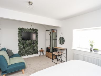 A bedroom with a green sofa, a desk with a chair, a wall-mounted TV with foliage behind it and a window with plants on the sill at Y Goedwig in Newborough