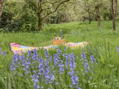 A picnic blanket with a basket and thermos in a grassy area with purple flowers and trees at Saint Pancras Chapel in Washford near Williton