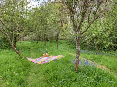 A picnic blanket with a basket and thermos placed on grass under trees at Saint Pancras Chapel in Washford near Williton