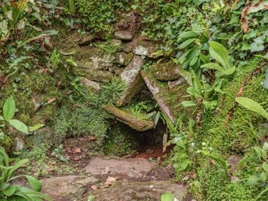 A small stone cave entrance surrounded by moss and green plants in a natural outdoor setting at Saint Pancras Chapel in Washford near Williton
