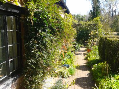 An outdoor garden path next to a house with climbing plants and flowers at Saint Pancras Chapel in Washford near Williton