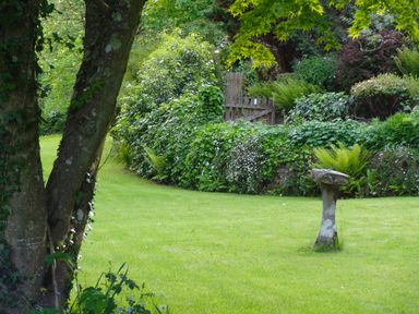 A garden with a stone birdbath a wooden gate and green plants at Saint Pancras Chapel in Washford near Williton