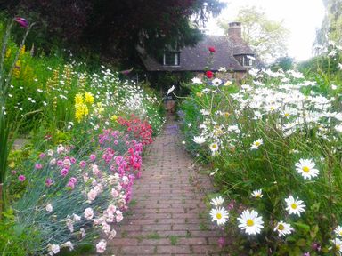 A brick pathway with flowers on both sides leading to a cottage at Saint Pancras Chapel in Washford near Williton