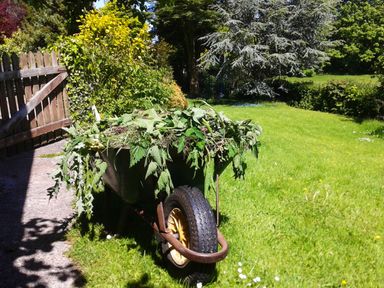 A garden with a wheelbarrow full of plants on grass near a wooden gate at Saint Pancras Chapel in Washford near Williton