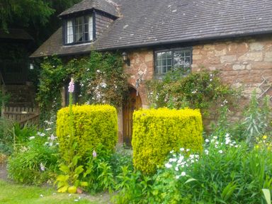 A stone house with a wooden door and two square yellow bushes in front at Saint Pancras Chapel in Washford near Williton