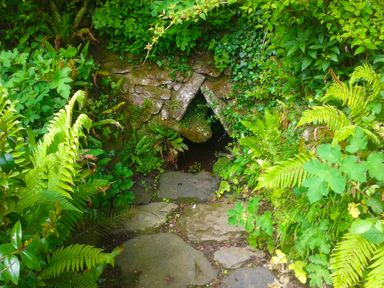 A stone pathway leading to a small stone cave entrance surrounded by dense green foliage and ferns at Saint Pancras Chapel in Washford near Williton