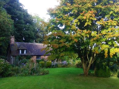 A stone cottage with a garden and a large tree in front at Saint Pancras Chapel in Washford near Williton