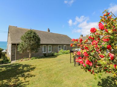 A garden with a tree and red flowering bush next to a stone house with multiple windows and a view of the sea at Stonecroft in Praa Sands