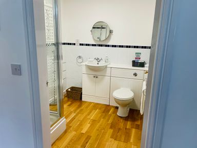 A bathroom with a shower, sink, toilet, mirror, and wooden floor at Yr Encil in Llanddaniel near Gaerwen