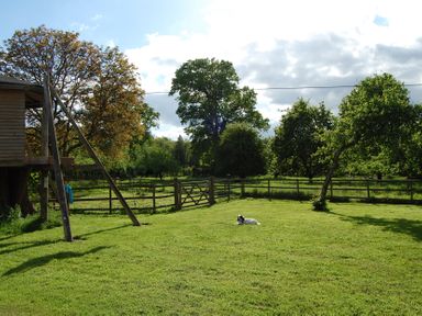 A garden with a treehouse and a dog at Carreg Cennen Cottage Llandeilo