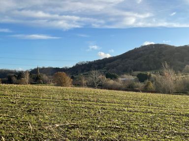 A field with cut crops and trees in the background with a hill and a church spire at The Little Beehive in Abberley