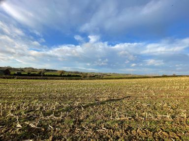 An agricultural field with crop stubble under a partly cloudy sky in the countryside at The Little Beehive in Abberley