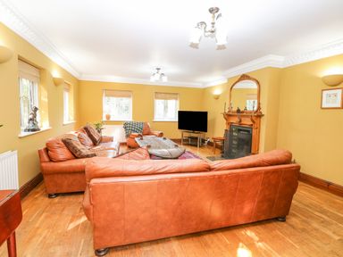A living room with leather sofas a fireplace television and windows at The Firs in Wendling near Dereham