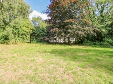 A lawn with scattered grass and trees surrounding a partially visible house at The Firs in Wendling near Dereham
