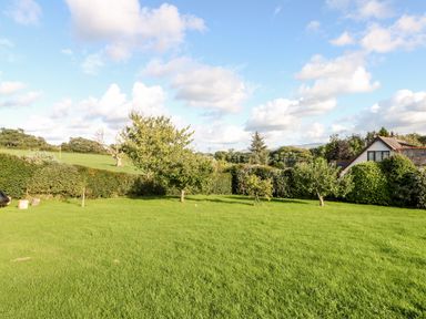 A green grassy garden with several trees next to a hedge and a house at Tegfryn Bach in Llangoed near Beaumaris
