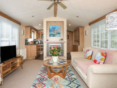 A living room with a beige sofa cushions a glass coffee table plant a flat screen tv a wooden cabinet and a colorful rug at Tegfryn Bach Llangoed near Beaumaris