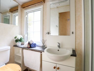 A bathroom with a sink mirror toilet shelf towels and a potted plant at Tegfryn Bach in Llangoed near Beaumaris