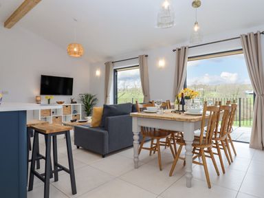 A dining table with chairs and a living area with sofa and television in an open plan room at Woodpecker Lodge in Butterleigh
