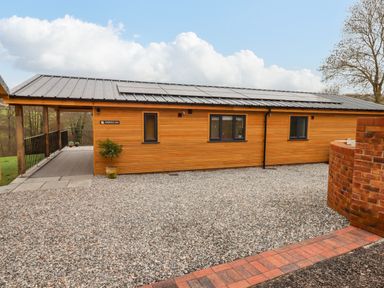 A wooden lodge with solar panels on the roof and a gravel driveway at Woodpecker Lodge in Butterleigh