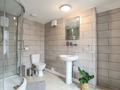 A bathroom with a shower enclosure toilet sink mirror and plant at Clydfan in Caernarfon