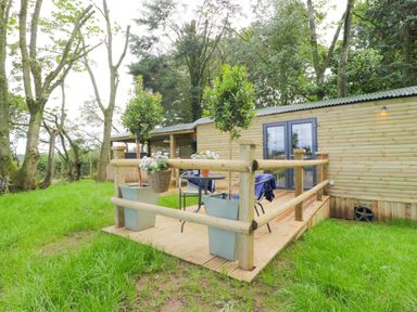 A wooden deck with a table and chairs outside a cabin surrounded by trees and grass at High Rigg Shepherd's Sunset in Brampton Cumbria