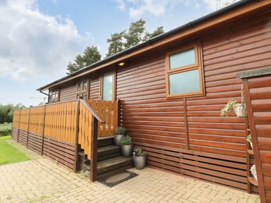 Exterior view of a wooden cabin with stairs and potted plants on a paved area at Hillside View in Alnwick