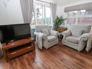 A sitting area with two armchairs a TV on a wooden stand and a small table with a plant at Hillside View in Alnwick