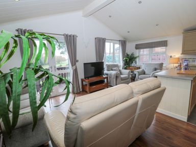 A living room with a television, armchairs, a sofa, curtains, plants, and a kitchen counter at Hillside View in Alnwick