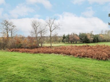 A grassy field with dry brown bushes and leafless trees under a partly cloudy sky at Hillside View in Alnwick