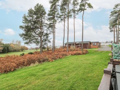 A grassy area with trees and brown shrubs beside wooden houses and a paved driveway at Hillside View in Alnwick
