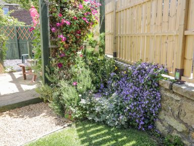 A garden area with a wooden pergola covered in pink flowers a wooden fence a stone wall and a flower bed with purple and white flowers at Sea Change in Newholm near Whitby
