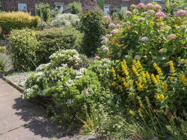 A garden with various flowering plants and bushes next to a paved pathway at Sea Change in Newholm near Whitby