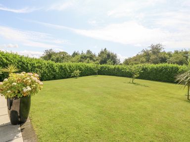 A garden with green grass small trees and a potted plant at Berllan in Llanbedrgoch near Benllech