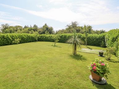 A garden with grass lawn trees and potted plants at Berllan in Llanbedrgoch near Benllech