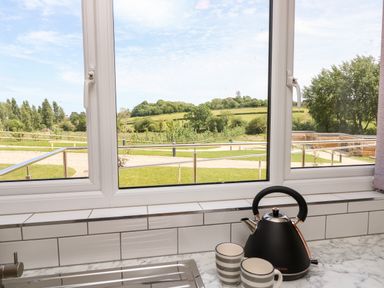 A kitchen countertop with a black kettle and two striped mugs by a window overlooking a grassy landscape at Champagne in Seaview