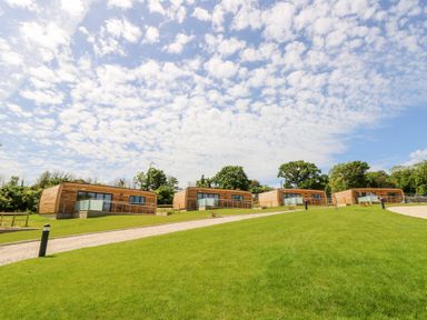 Four wooden modern cabins on a grassy hillside with a gravel path and trees in the background at Champagne in Seaview