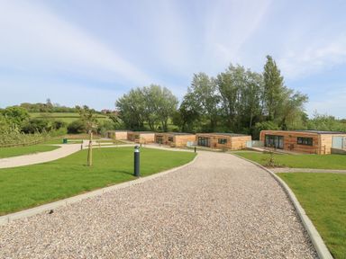 A gravel driveway leading to multiple wooden lodges with glass doors surrounded by grass and trees at Cava in Seaview